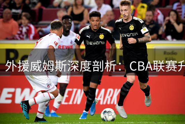 外援威姆斯深度剖析：CBA联赛升级浪潮下广东宏远的转型之路